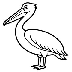 Clean Pelican Outline Artwork