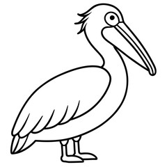 Clean Pelican Outline Artwork