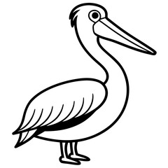 Clean Pelican Outline Artwork