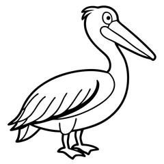 Clean Pelican Outline Artwork