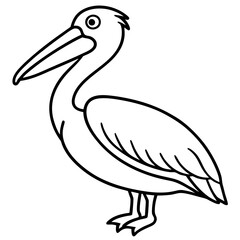 Clean Pelican Outline Artwork