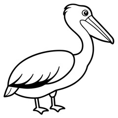 Clean Pelican Outline Artwork