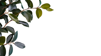 abstract floral background