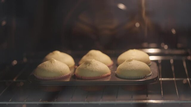 Timelapse of cupcakes muffins baking and rising in muffin tin inside an electric oven. Closeup shot showcasing homemade bakery and pastry in cooking process 