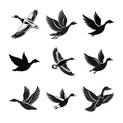 Flying Duck Silhouettes Vector Set – Wildlife Bird Icons for Logos & Design