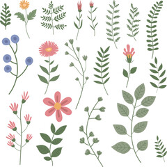 Set of colorful flower elements isolated on white background. Design flourish elements for decoration.