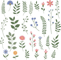 Set of colorful flower elements isolated on white background. Design flourish elements for decoration.