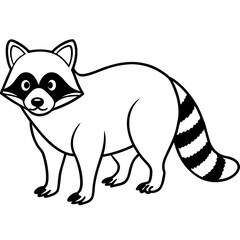Elegant Raccoon Line Drawing