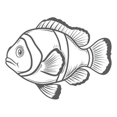 Clownfish Line Art Illustration, Amphiprion Perideraion