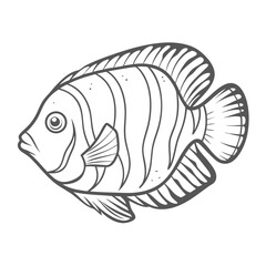 Potter's Angelfish Line Art Illustration