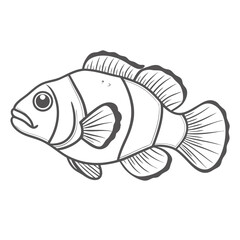 Clownfish Illustration: Saddleback Amphiprion Polymnus