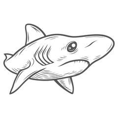 Fototapeta premium Thresher Shark Outline Illustration, Pelagic Species