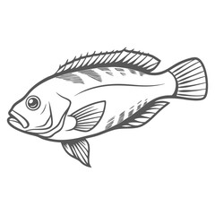 Blueline Tilefish Line Art Illustration