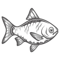 Fototapeta premium Tinfoil Barb Fish Line Art Illustration