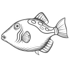 Queen Triggerfish Line Art Illustration