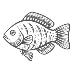 American Flagfish Vector Illustration Line Art