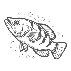 Archerfish Vector Illustration, Toxotes Jaculator