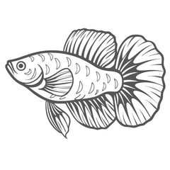 Betta Imbellis Line Art, Peaceful Fish Illustration