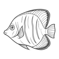 Bicolor Angelfish Line Art Illustration