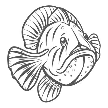 Ballyhoo Fish Line Art Illustration