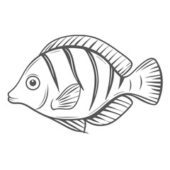 Convict Tang Fish Line Art Illustration