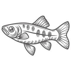 Pencilfish Beckfordi Line Art Illustration