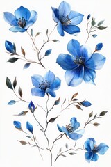 Beautiful blue watercolor floral illustration