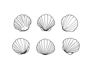 Simple Line Art Illustration of Clams Shells 