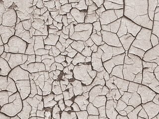 Cracked and Peeling Paint Surface Texture