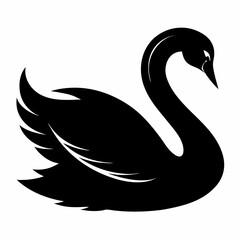 Elegant Raccoon Line Drawing