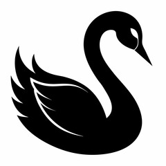 Elegant Raccoon Line Drawing