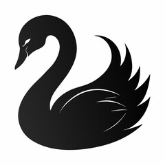 Obraz premium Elegant Raccoon Line Drawing