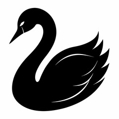 Fototapeta premium Elegant Raccoon Line Drawing