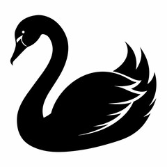 Obraz premium Elegant Raccoon Line Drawing