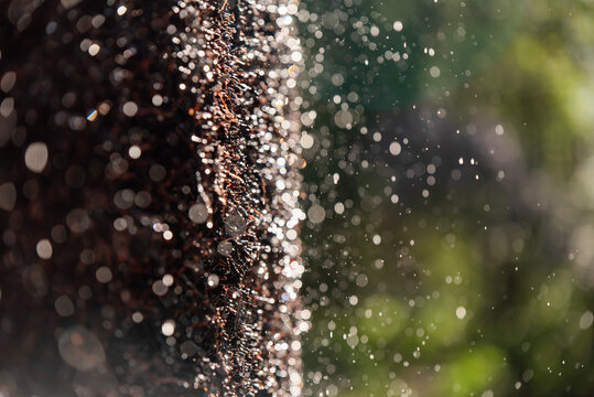 Wiosenny park z tężnią w Czechowice dziedzice, Śląsk.
