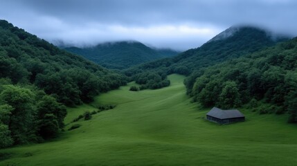 Misty valley, mountain pasture