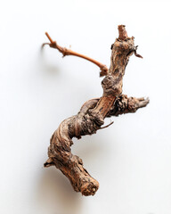Fototapeta premium A dried up branch with a few leaves on it