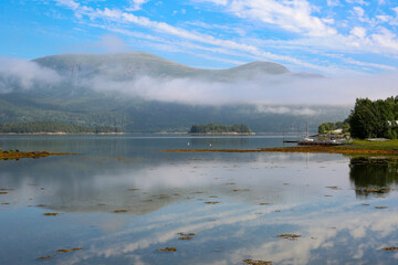 Summer Norwegian landscape