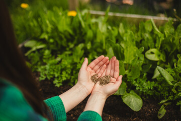 Eco-Friendly Lifestyle: Woman Planting in Backyard Garden