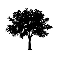 Obraz premium Black tree silhouette vector graphic illustration for nature background and design element with leaves