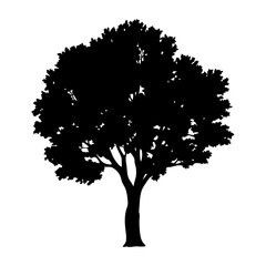Download realistic tree silhouette vector illustration for graphic design and nature art projects