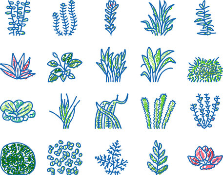 Aquatic Seaweed Natural Plant Icons hand drawn