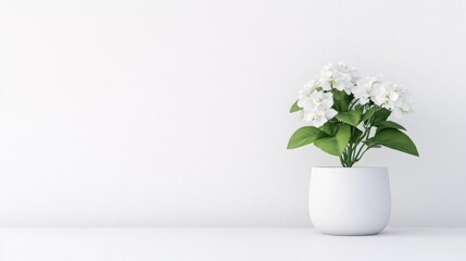 A white flower arrangement in a minimalist ceramic pot placed on a clean white shelf, elegant home decor with green leaves, and serene indoor setting.