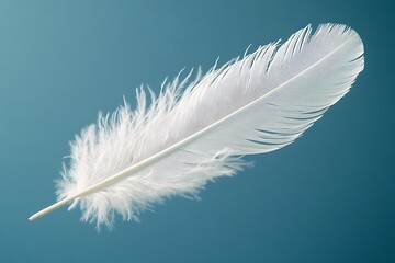 Obraz premium Delicate White Feather on Blue Background