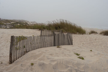 The beach of Aveiro (Portugal) in the atlantic ocean