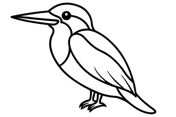 Obraz premium Graceful Kingfisher