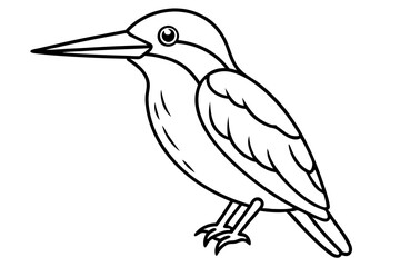 Obraz premium Graceful Kingfisher