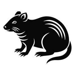 Obraz premium Armadillo Silhouette on white background