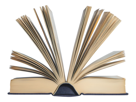 A captivating image of an open book, pages fanned out like a delicate, inviting blossom.  Represents knowledge, education, storytelling, and discovery.