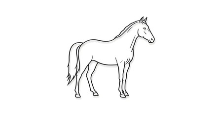 Horse Illustration